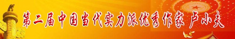 第二届中国当代实力派优秀作家 卢小夫